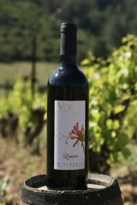 Louise - Vin rouge Bio AOP Minervois - Domaine Vordy