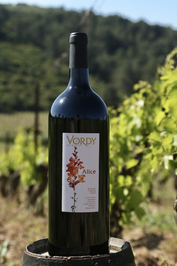 Magnum Alice - Vin Rouge Bio AOP Minervois - Domaine Vordy