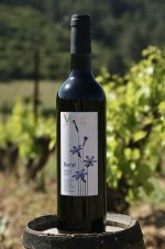 Rene | Vin Rouge Minervois Bio - Domaine VORDY