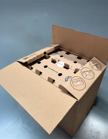 cartons-securises-livraison vin